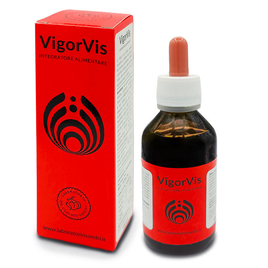 VigorVis